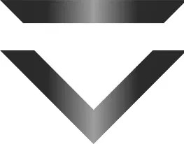 VISION AI